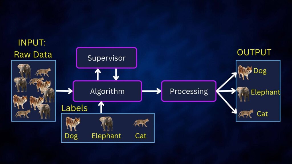 AI vs ML vs Deep Learning: Did you knew the Difference? b05 02